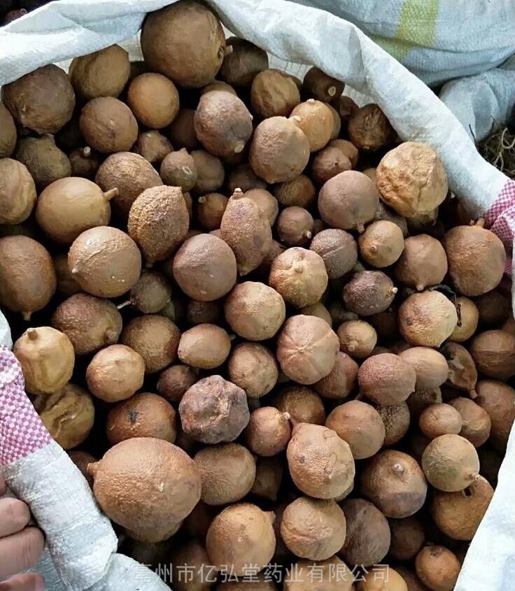 中药材树屈头鸡功效保亭槌果藤一斤价格