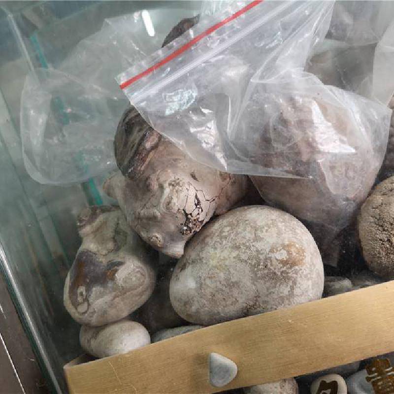 中药材马结石功效作用马宝鲊答马三宝马结石马粪石