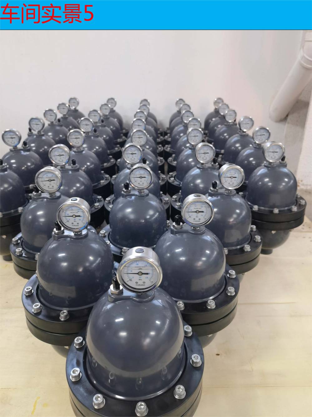 fland弗兰德气囊式脉冲阻尼器dfmppe2010气囊式脉动阻尼器