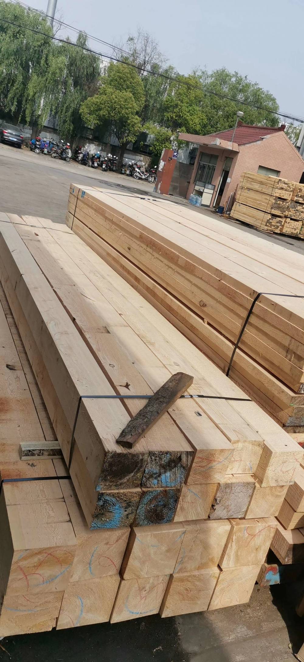 天津建筑木方报价垫木枕木方木