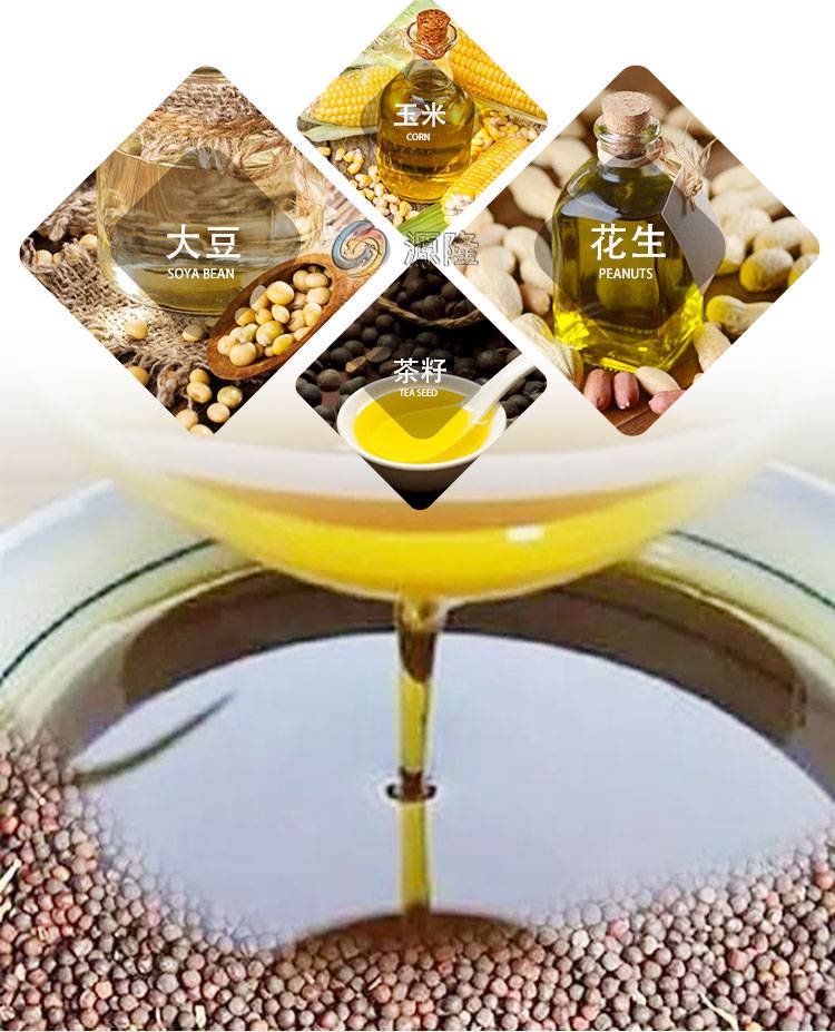 米糠家用螺旋压榨机乌桕籽小型榨油设备亚麻卧式粮油精炼机