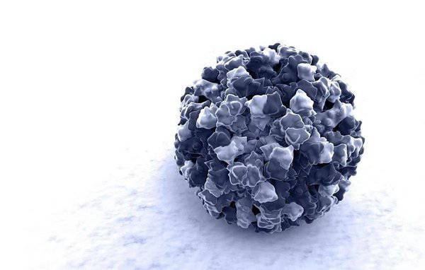 肺炎疫情引发食品安全关注 启迈QIMA提醒食源性病毒同样不容忽视