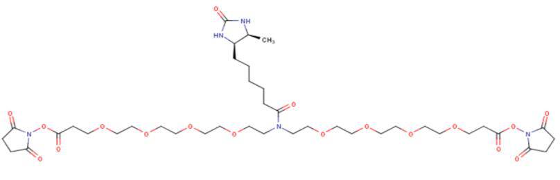 2353409-61-5，N-Desthiobiotin-N-bis(PEG4-NHS ester)