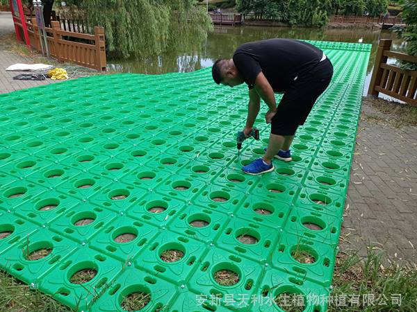 人工生态浮岛技术,安装简便牢固,水体绿化浮岛
