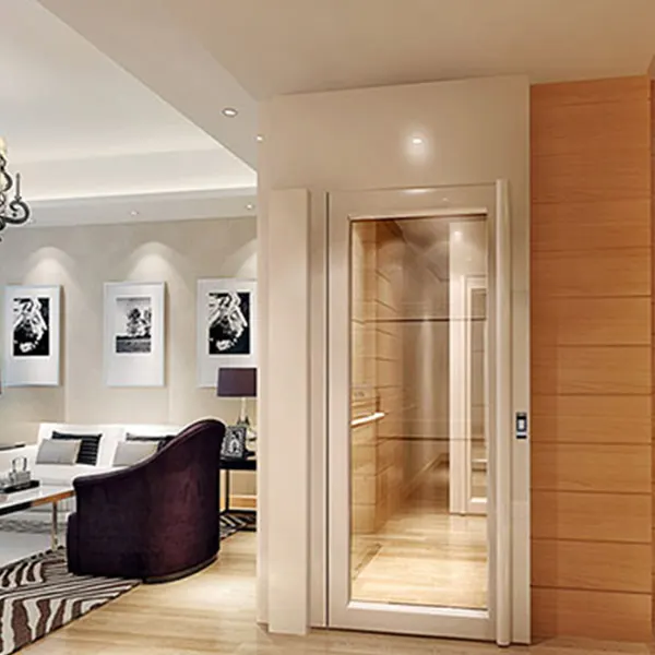 地下室楼层分段楼上电梯 家用电梯 别墅电梯