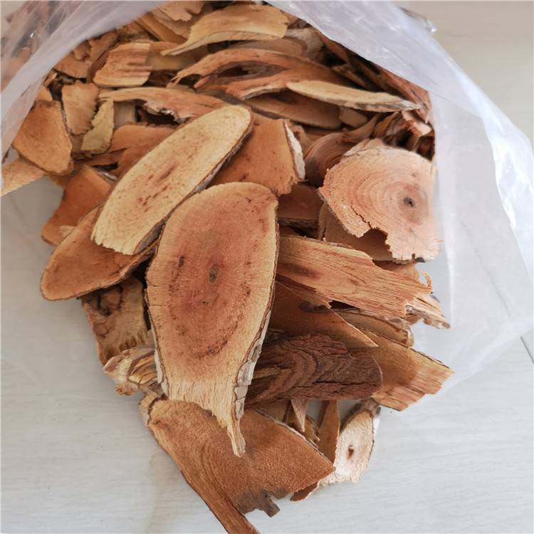 中药火把花根火把花根药用价值