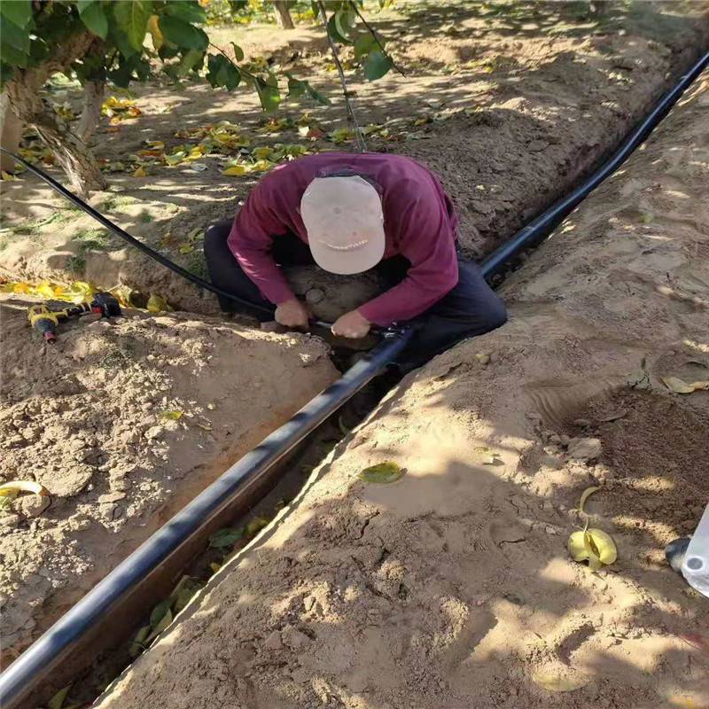 八孔花灑滴頭 果樹滴灌供應山地果樹滴水頭 盆栽花卉滴箭灌溉 水肥