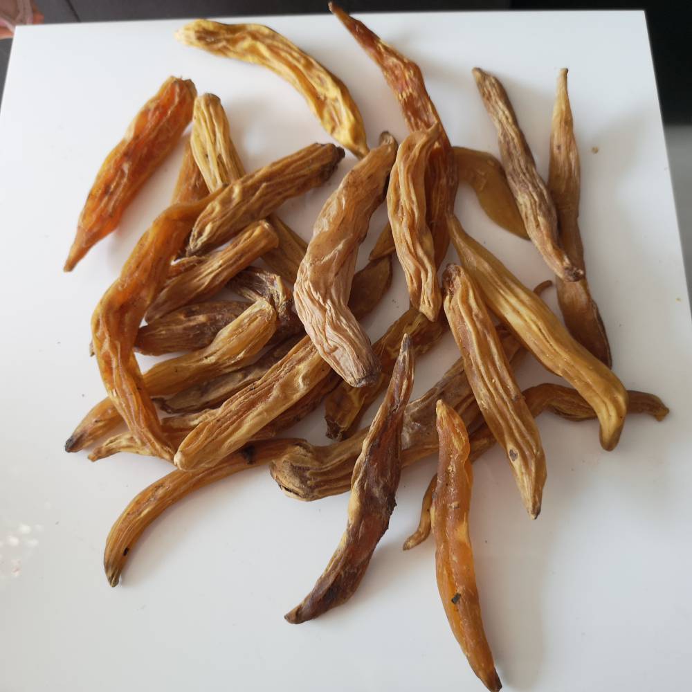 天冬批发天冬价格天冬图片