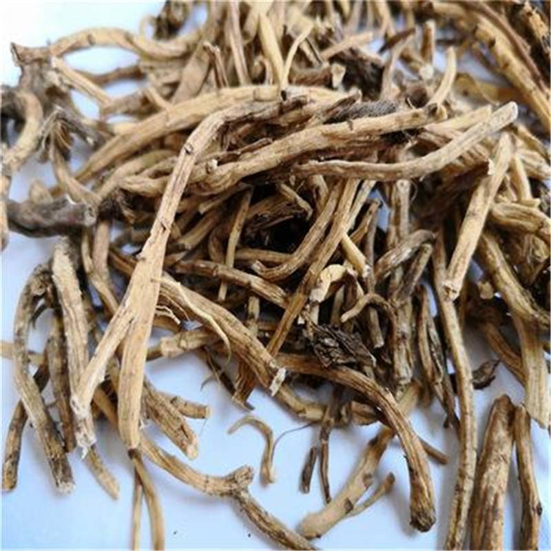 【野生倒提壶价格 倒提壶根图片 一把抓价格】图片