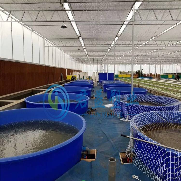 直徑3米塑料養魚大桶育苗孵化桶魚菜共生養殖池圖片查看詳情