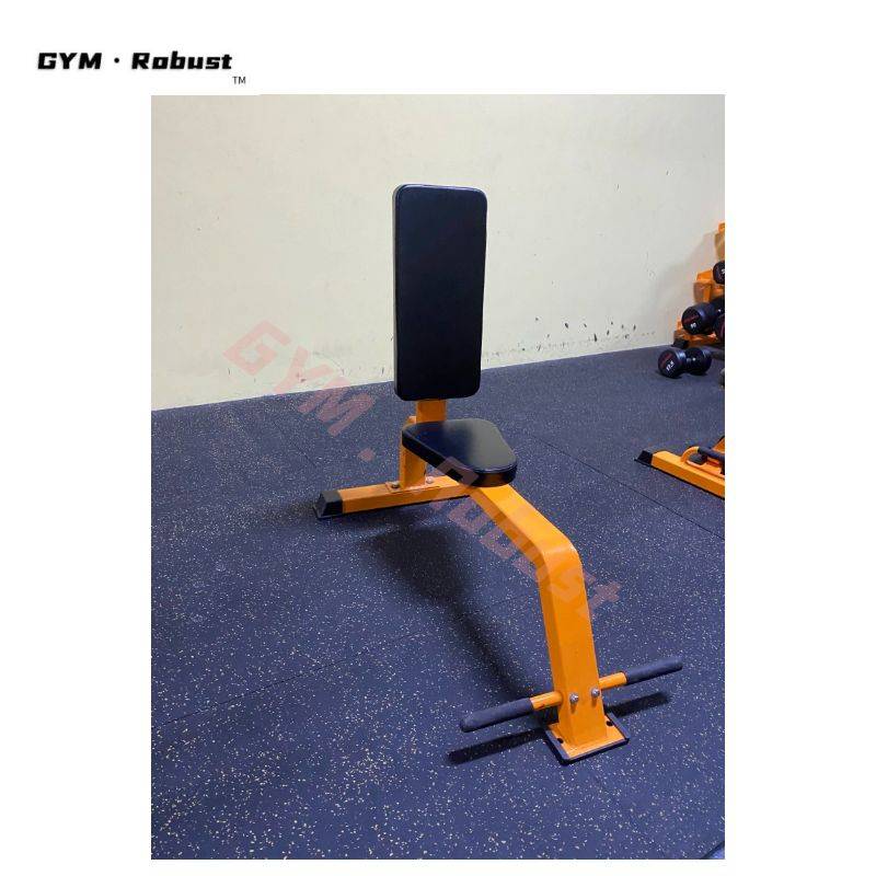 出口健身器材 手臂训练器械 免维护力量器械生产供应