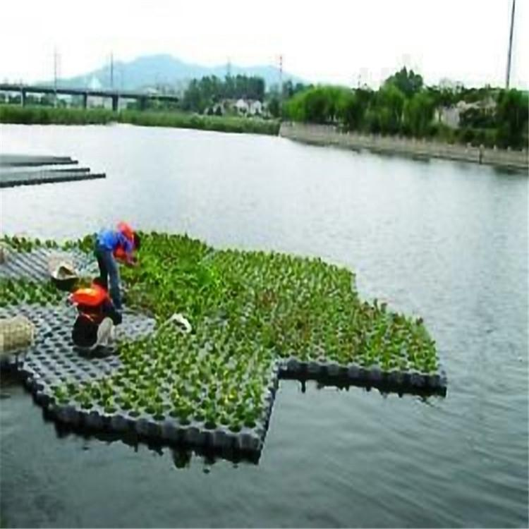 水生植物人工浮島生態浮島