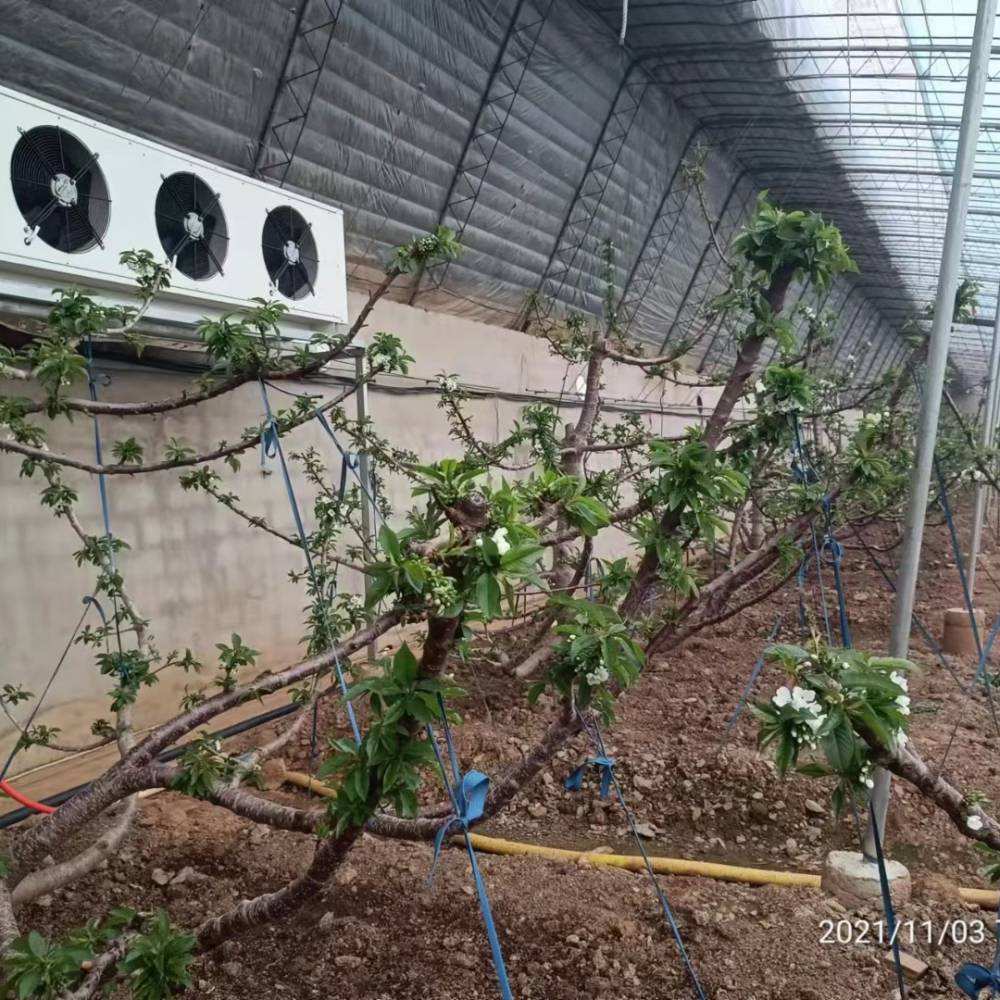 办公室水冷中央空调安装改造