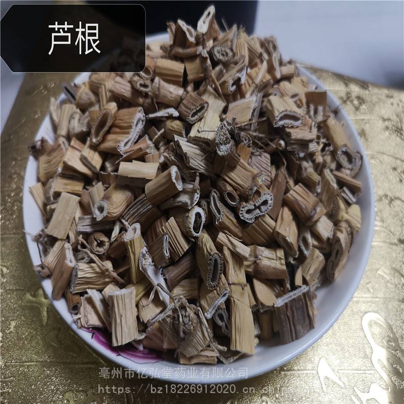 芦根价格 芦根多少钱一公斤