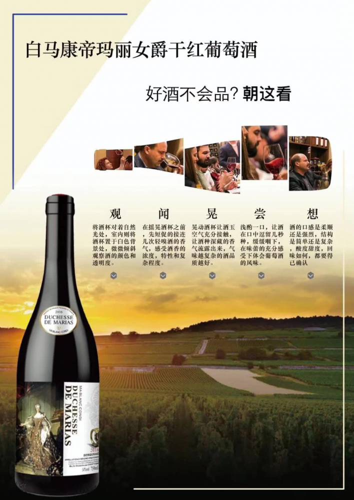 法国白马康帝玛丽女爵干红葡萄酒波尔多产区aoc级别