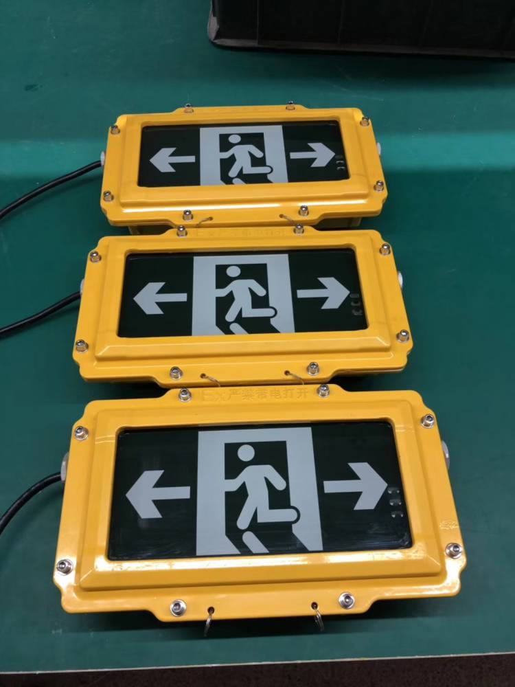 eps防爆控制柜防爆集中控制型应急照明疏散指示系统36v低压安全出口灯