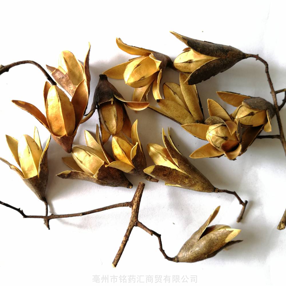 正宗金铃子中药材金铃子无杂质地道干净过筛