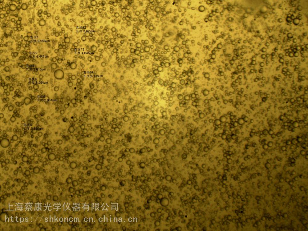 化妆品乳液检测显微镜xp550c图片