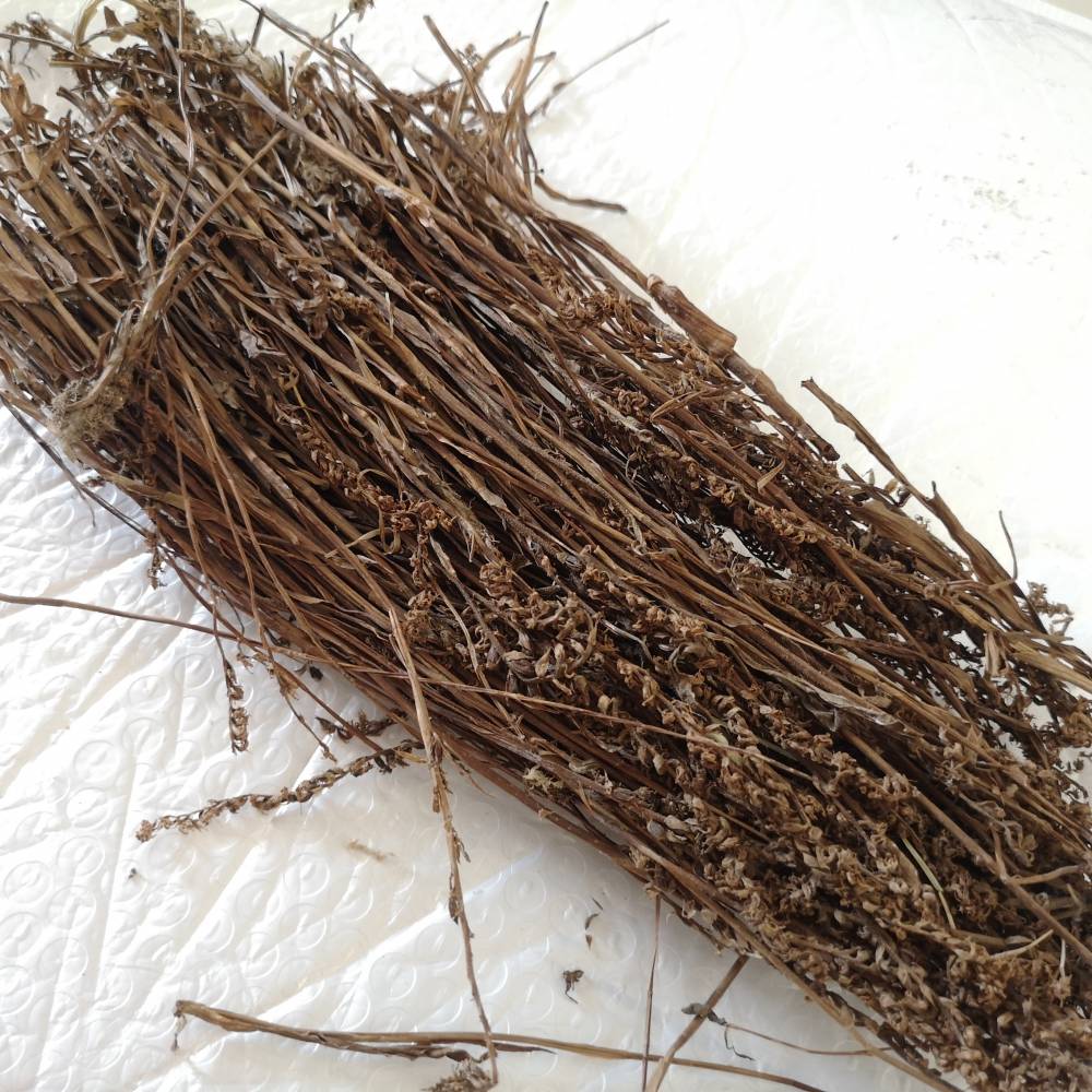 川东獐牙菜 水灵芝,鱼胆草,青鱼胆草供应商信息亳州市亿弘堂药业有限