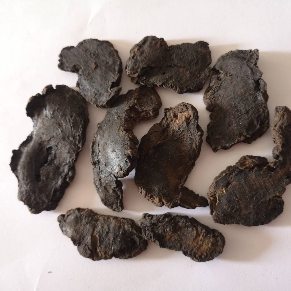 生地黄供应生地黄产地批发地黄