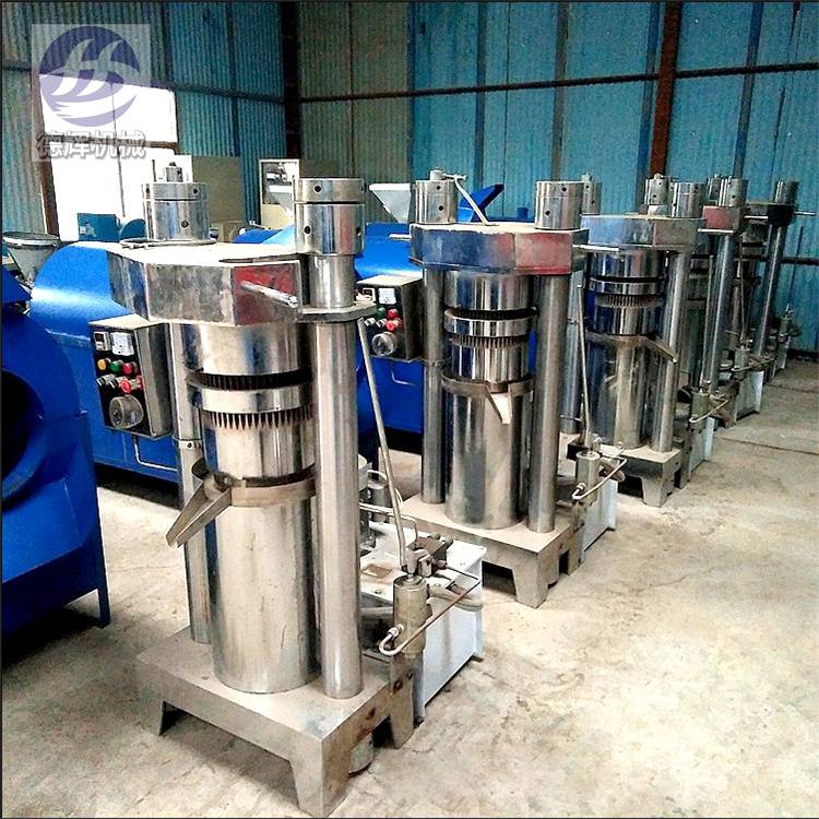 德辉立式液压榨油机15公斤核桃油压榨机自动芝麻香油机
