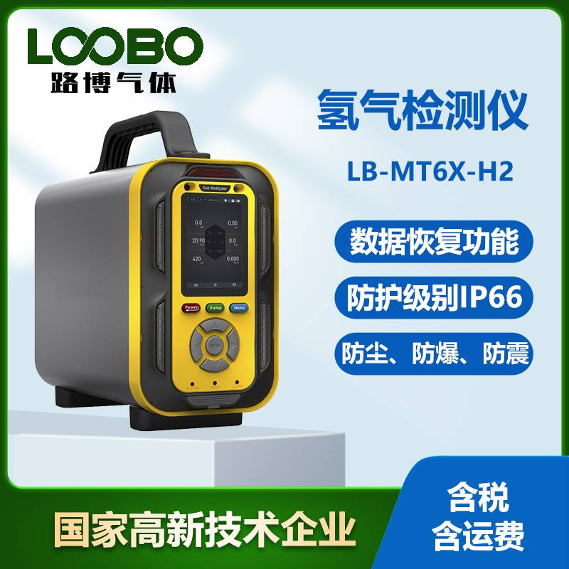 H2手提式气体检测仪 LB-MT6X氢气分析仪 标准容量10万条数据