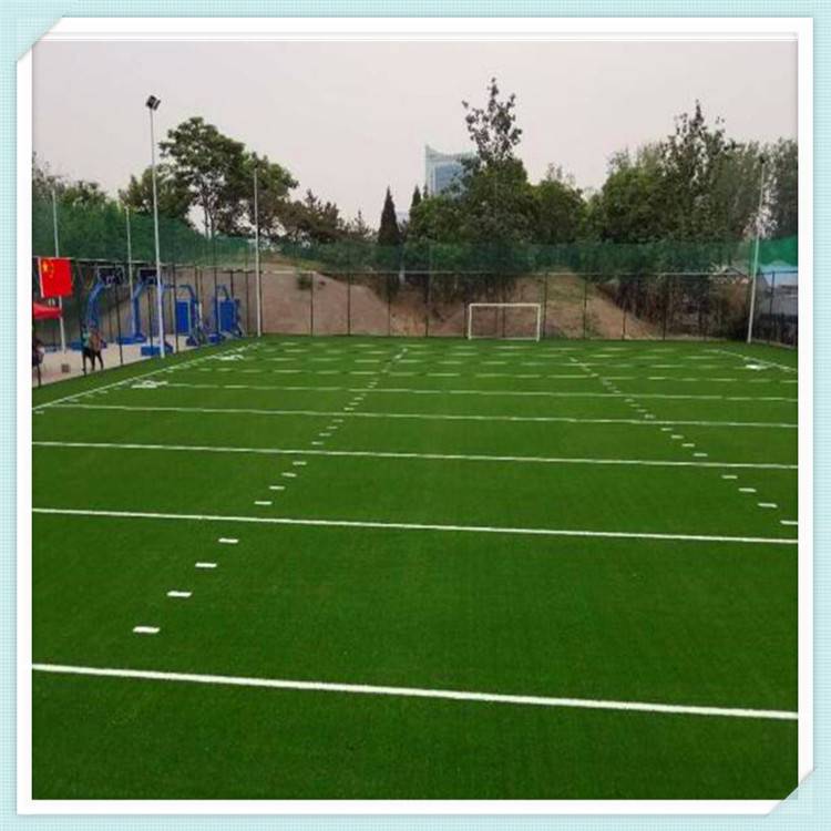 比塞克：我们是一支强大的队伍；人造草坪不是问题(图1)