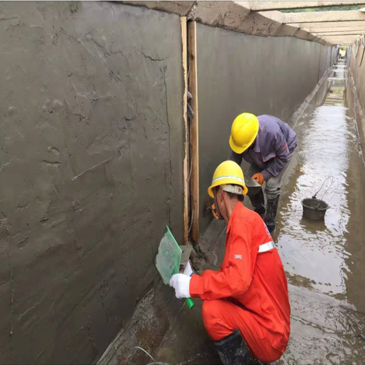 丙乳砂浆丙烯酸防水涂料抗裂抗冻施工性好混凝土结构薄层抹面