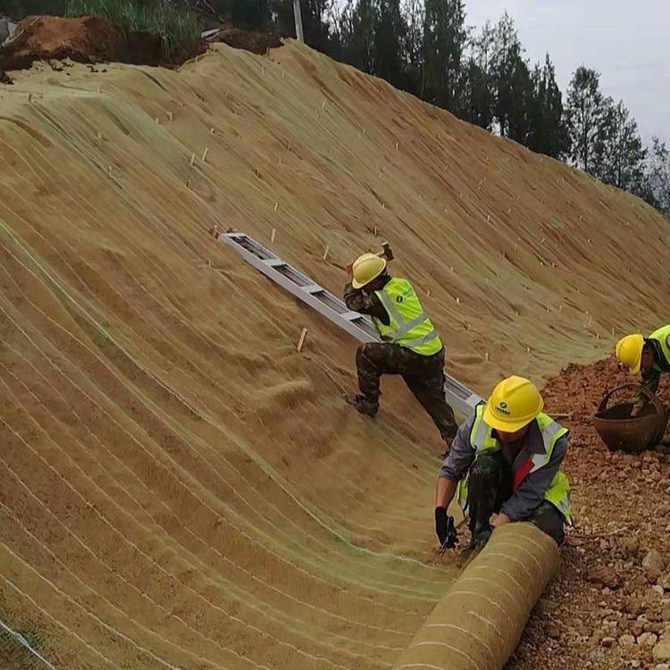 玉溪植物纤维毯护坡抗冲植草毯可定制图片