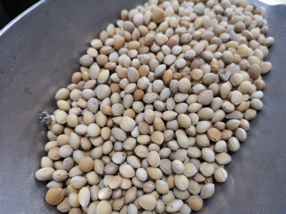 樱桃核药用什么价值樱桃核产地批发价哪里购买便宜