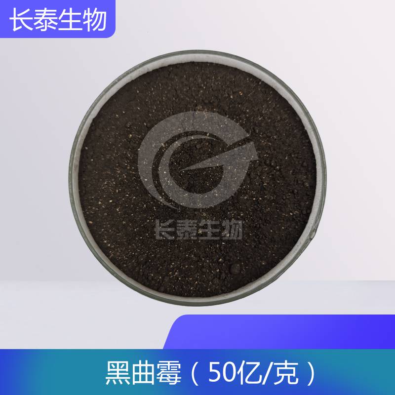 黑曲霉孢子粉 黑曲霉 米曲霉添加使用量