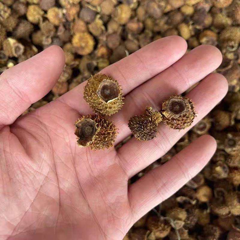 炮附子盐附子黑顺片黑附子淡附子川附子