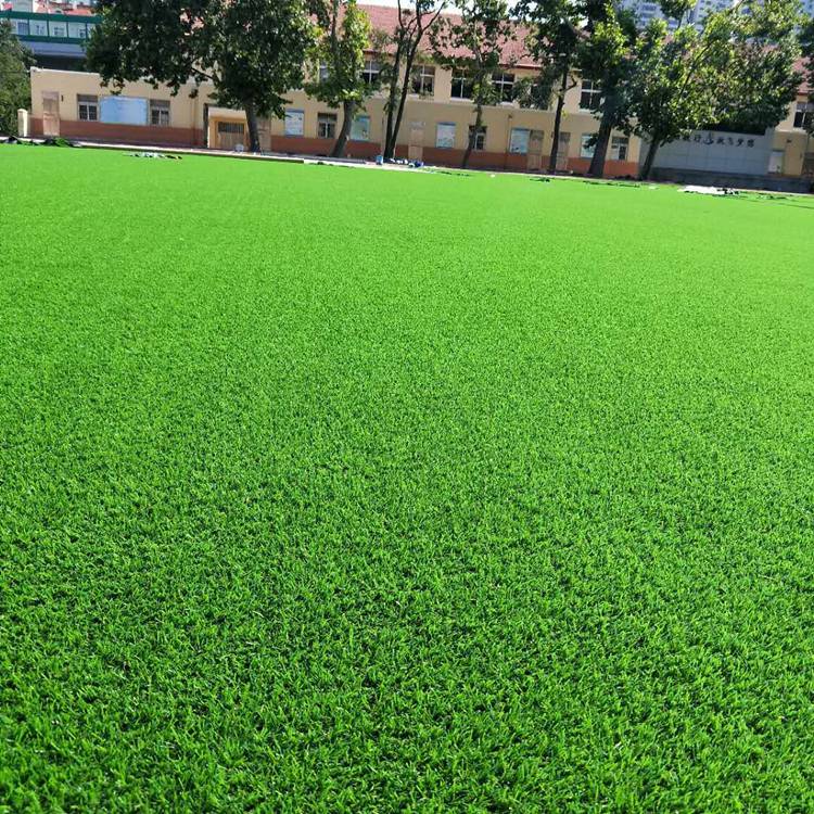 学校人工草坪 万立森塑料绿草坪 大理幼儿园人造草坪