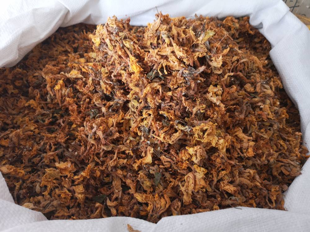 踯躅花药用有什么价值惊羊花哪里可以购买到多少钱一公斤