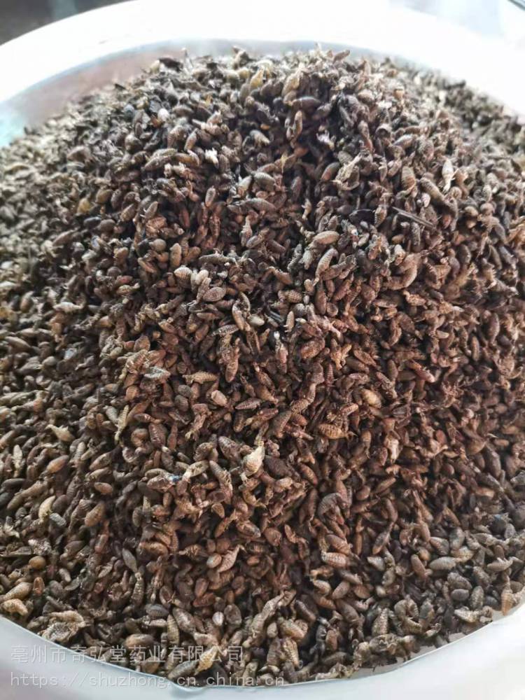 地牯牛金沙牛产地批发价格