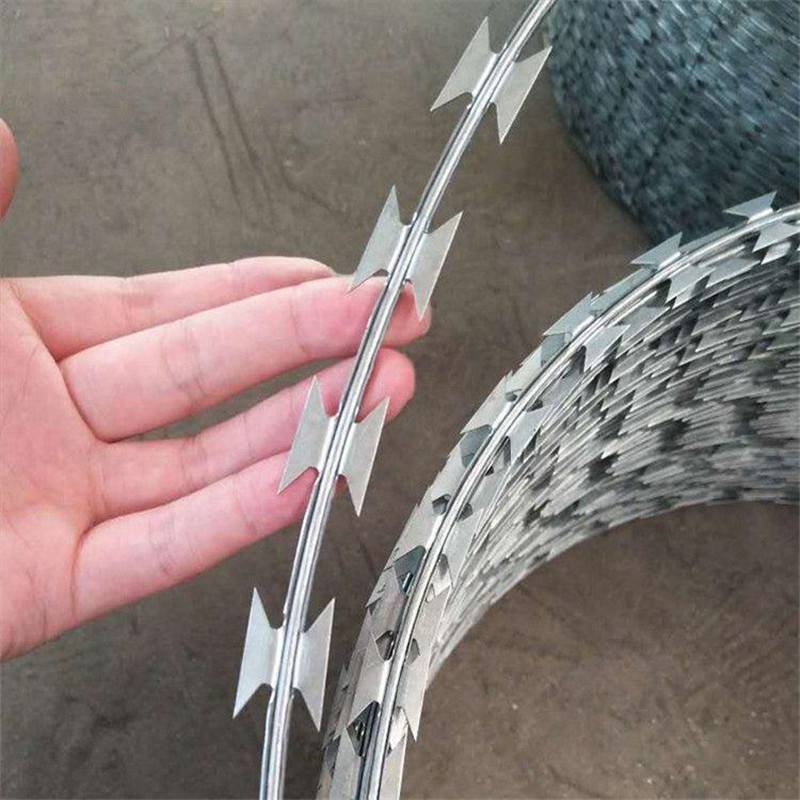 【刀片滚笼 热镀锌刺线 刀型刺线】价格_厂家 - 中国供应商