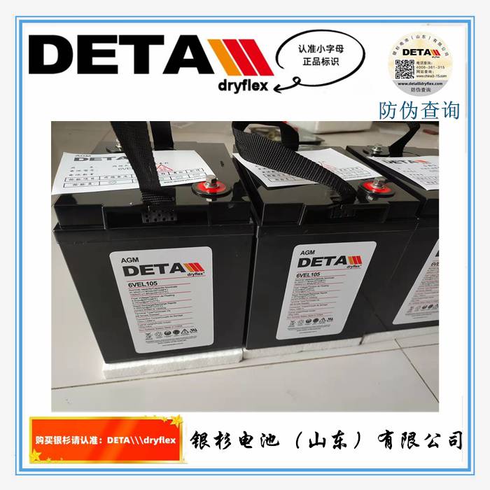 德国detallldryflex银杉蓄电池6VEL105通讯 UPS电源用6V-10***H电池