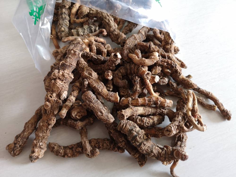 石凤丹药用有什么价值一枝花哪里可以购买到多少钱一公斤