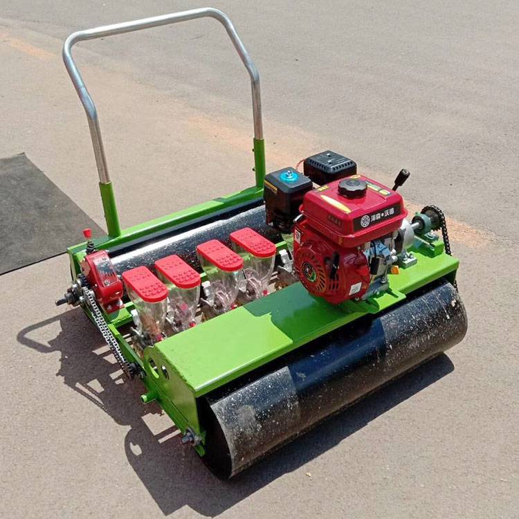 多功能播种机瑞鑫芹菜油菜籽点播机免间苗甘肃黍子藜麦牧草精播机价格