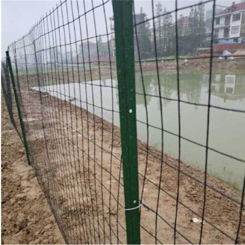 养殖鱼塘圈地荷兰网散养鸡鸭铁丝围栏网