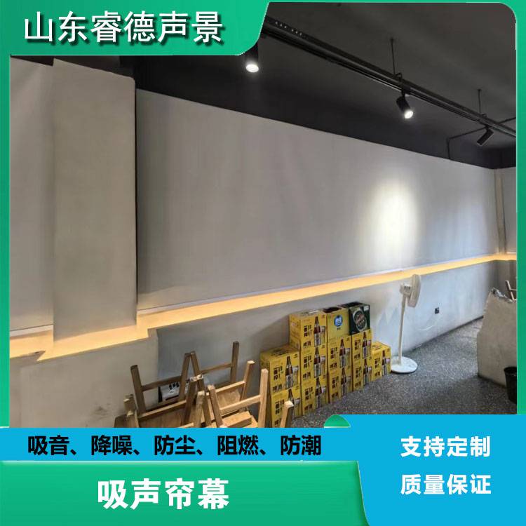 rayde 吸声帘布 会议室报告厅办公室降噪吸音卷帘 教室专用帘幕 制定