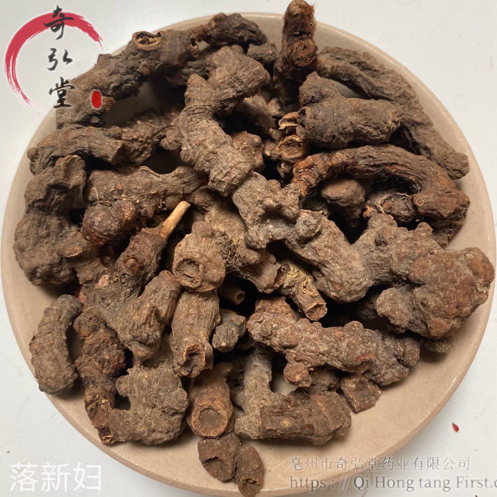 中药材落新妇-落新妇药材实物实拍