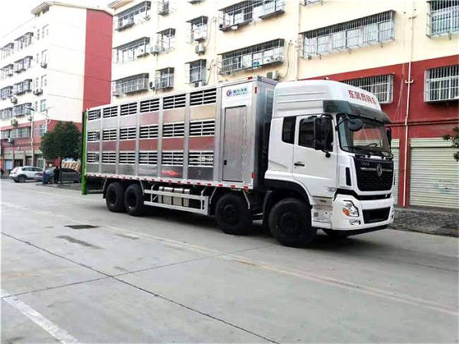 大型运猪车