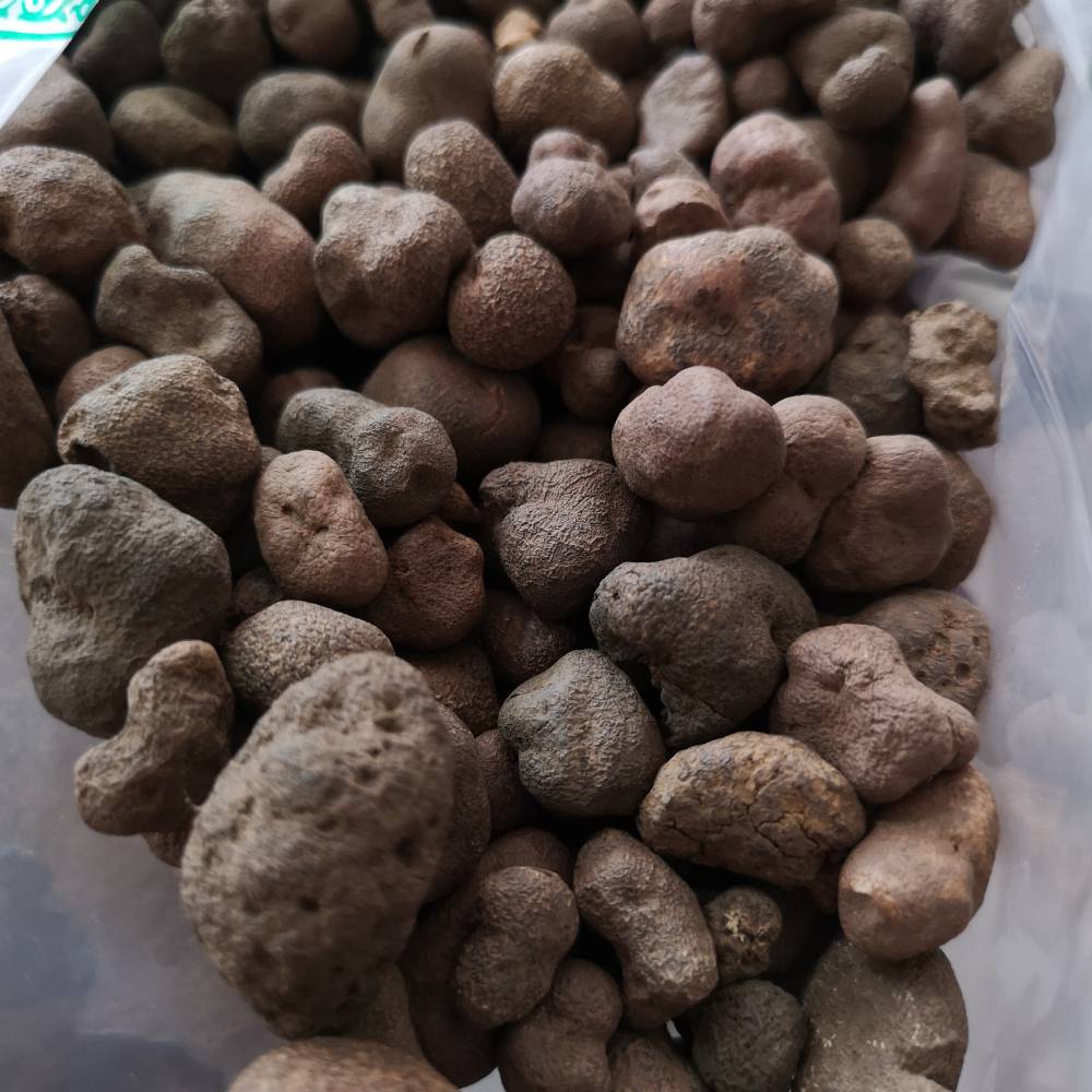 别名马疕,马庀菌,灰菇,马屁包,香末菇,乌龙菌,牛屎菇,灰包菌,药包