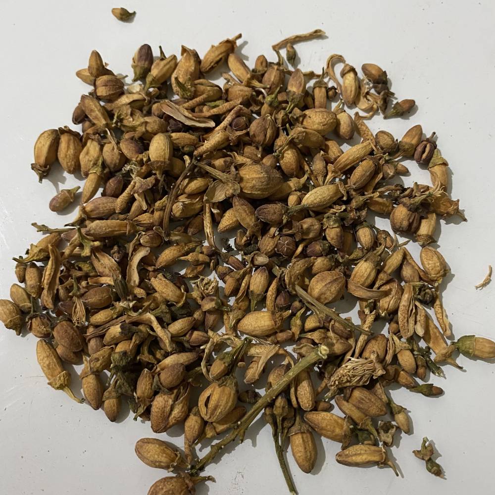 出售中药材佛手花佛手花厂家销售