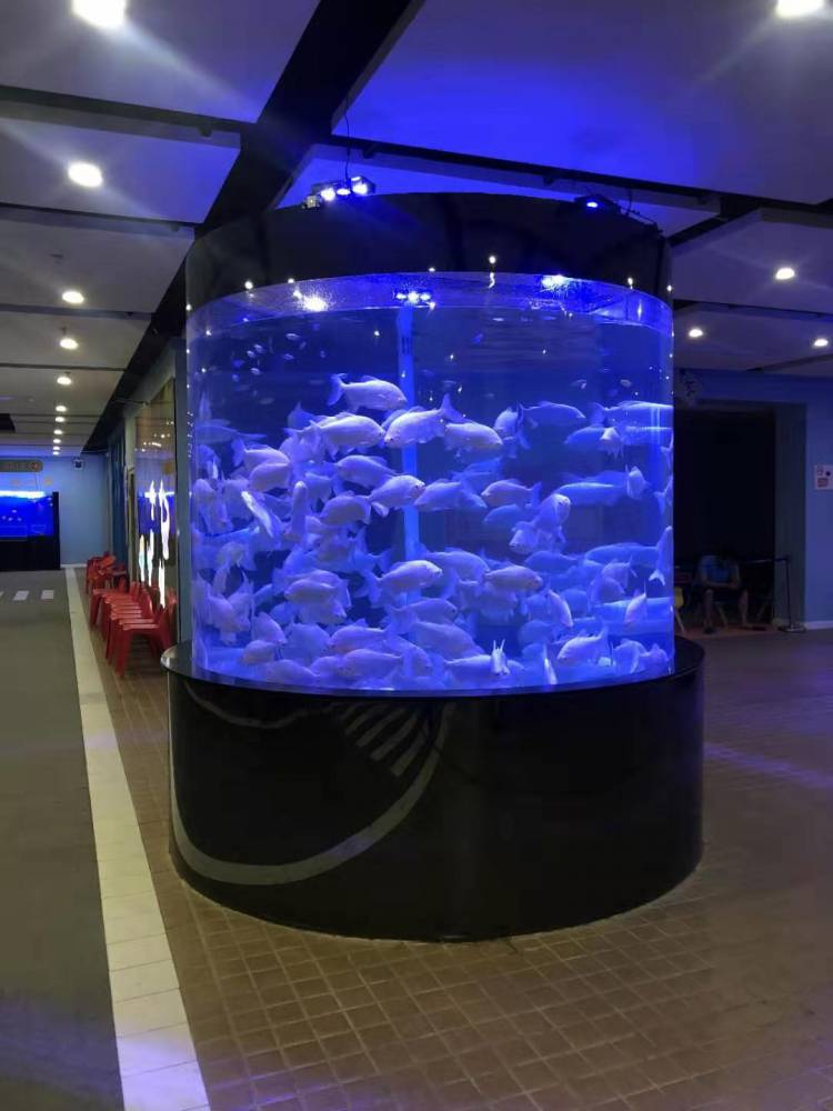 清远大型超白玻璃生态鱼缸厂家阳江哪里有免费设计超市海鲜鱼池缸工程