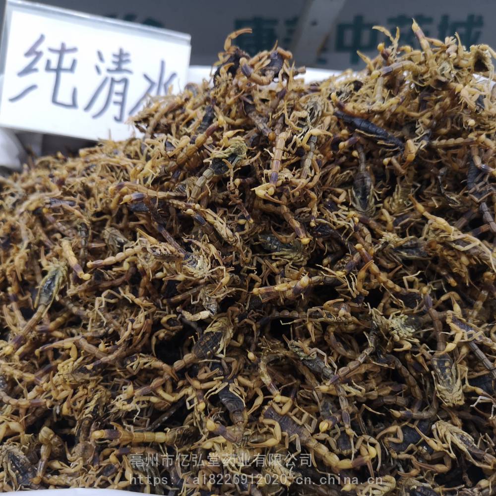 蝎子药用用法及用量全虫药用有什么药效