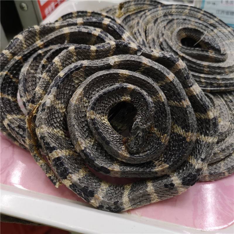 野生大条白花蛇多少钱一条白花蛇的功效和泡酒方法