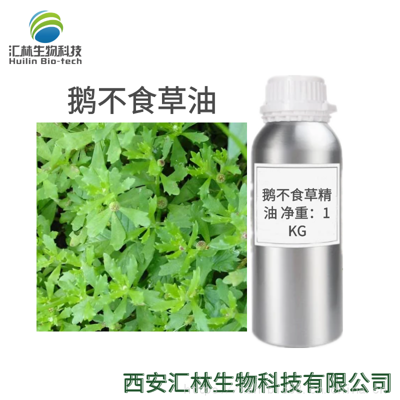 鹅不食草油鹅不食草精油日用原料单方精油香精香料图片