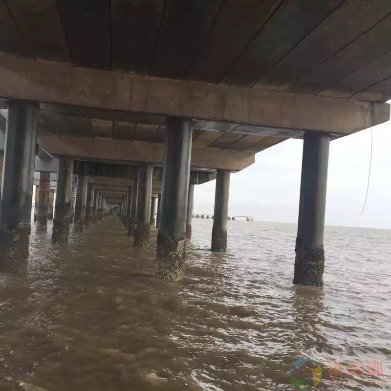 贵州有机***浸涂层海港工程防护卓能达厂家直销